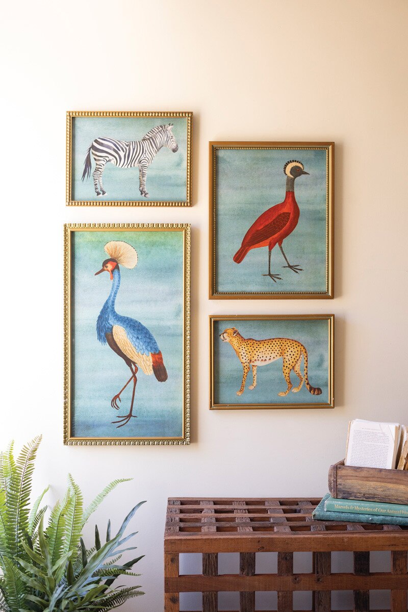 SET OF FOUR FRAMED BIRDS AND ANIMAL  PRINTS UNDER GLASS