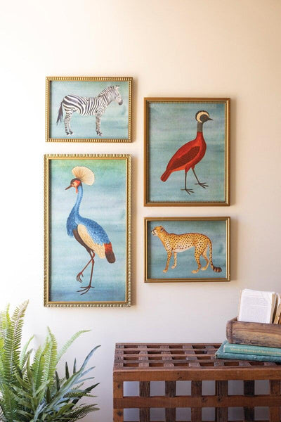 SET OF FOUR FRAMED BIRDS AND ANIMAL  PRINTS UNDER GLASS