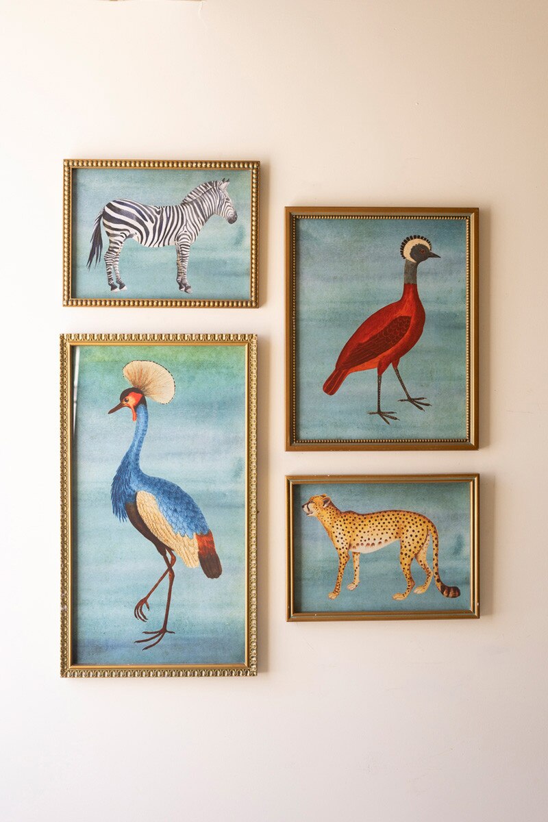 SET OF FOUR FRAMED BIRDS AND ANIMAL  PRINTS UNDER GLASS