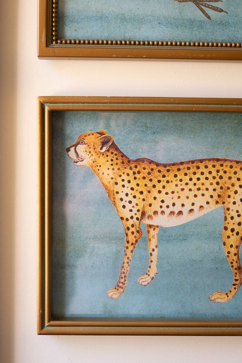 SET OF FOUR FRAMED BIRDS AND ANIMAL  PRINTS UNDER GLASS