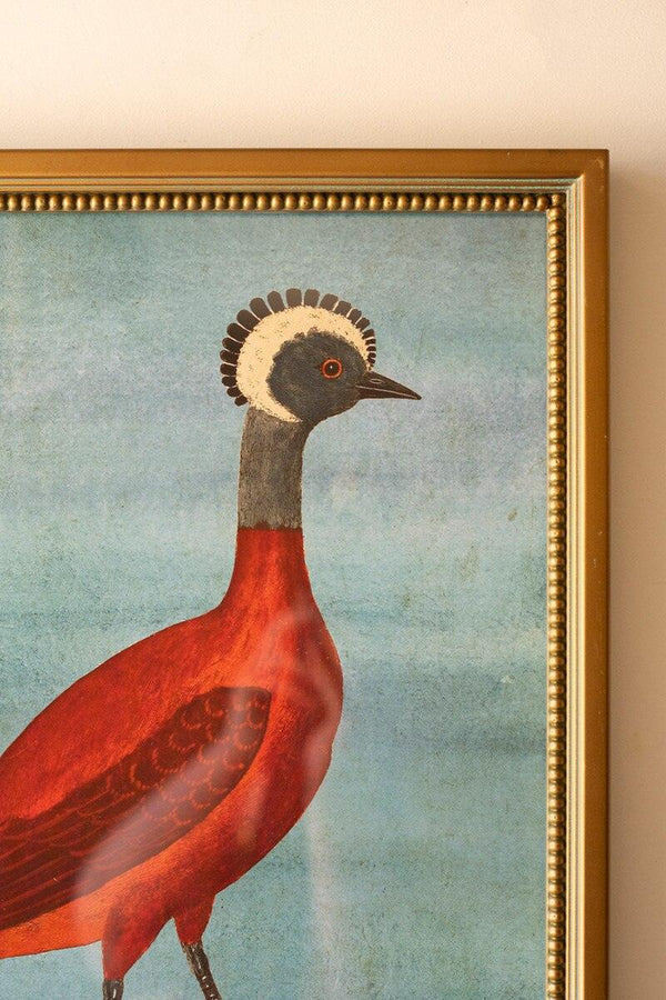 SET OF FOUR FRAMED BIRDS AND ANIMAL  PRINTS UNDER GLASS