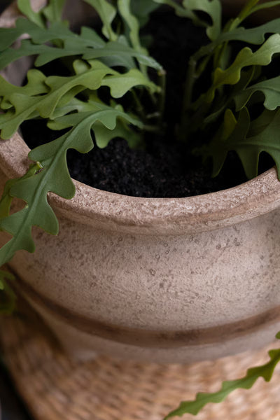 SET OF TWO TERRACOTTA PLANTERS WITH HORIZONTAL BROWN STRIPE