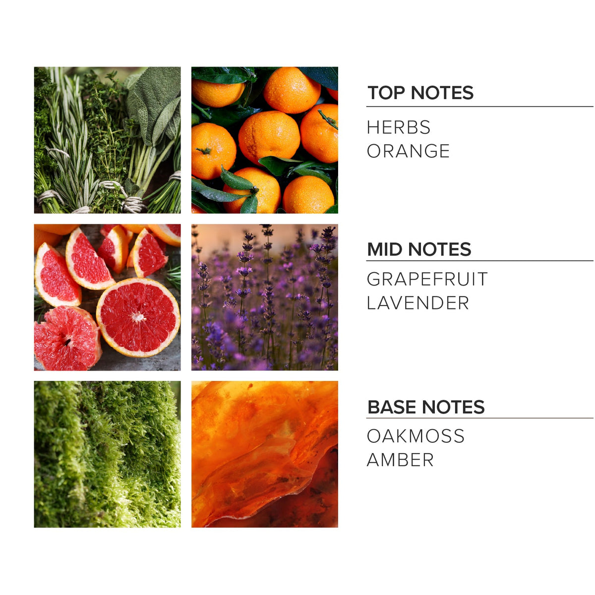 Citrus Herbed Tonic Linen Spray