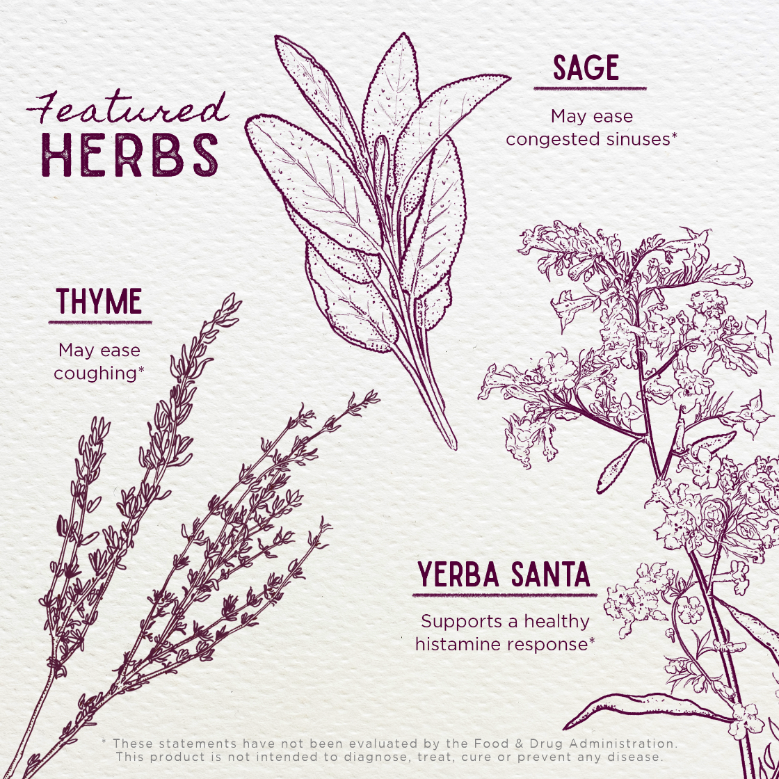 Illustrations of herbs including sage, thyme, and yerba santa with text on a light background.