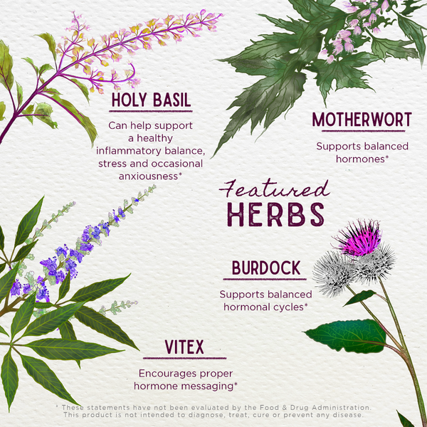 Illustration of herbs with their names and benefits on a white background