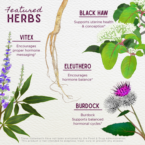 Illustration of herbs with their names and benefits on a white background