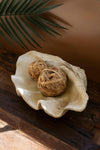 GIANT RESIN CLAM SHELL