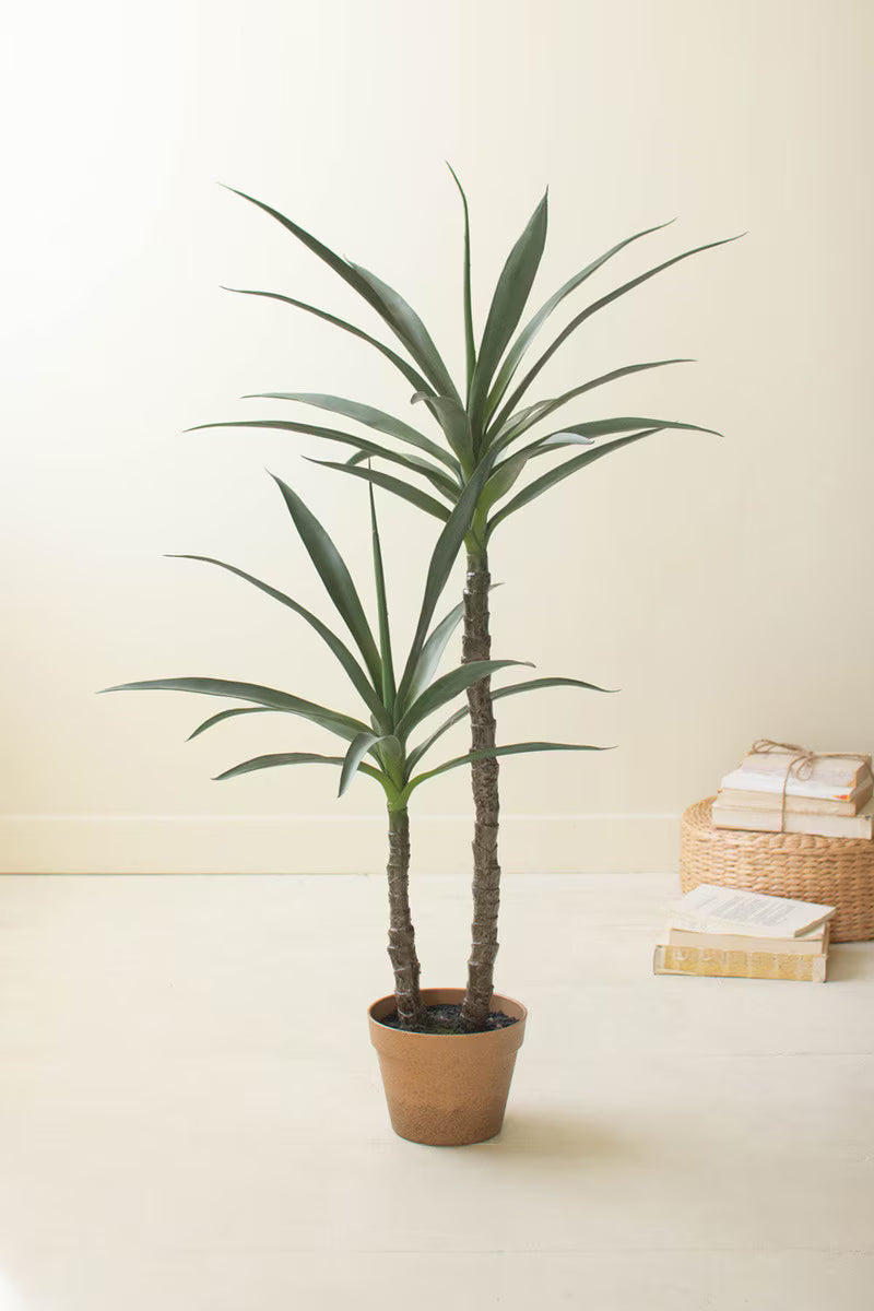 ARTIFICIAL HENEKEN PLANT WITH FAUX TERRACOTTA POT