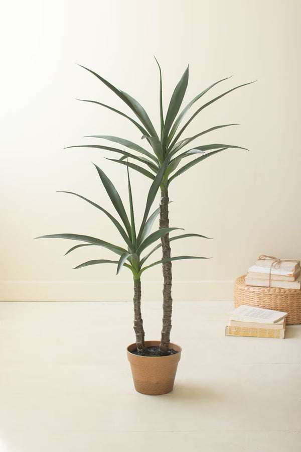 ARTIFICIAL HENEKEN PLANT WITH FAUX TERRACOTTA POT
