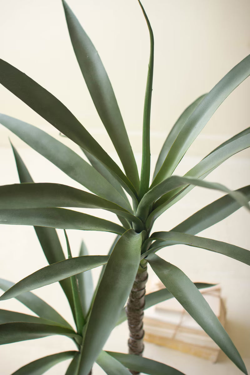 ARTIFICIAL HENEKEN PLANT WITH FAUX TERRACOTTA POT