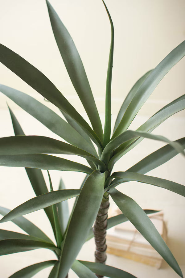 ARTIFICIAL HENEKEN PLANT WITH FAUX TERRACOTTA POT