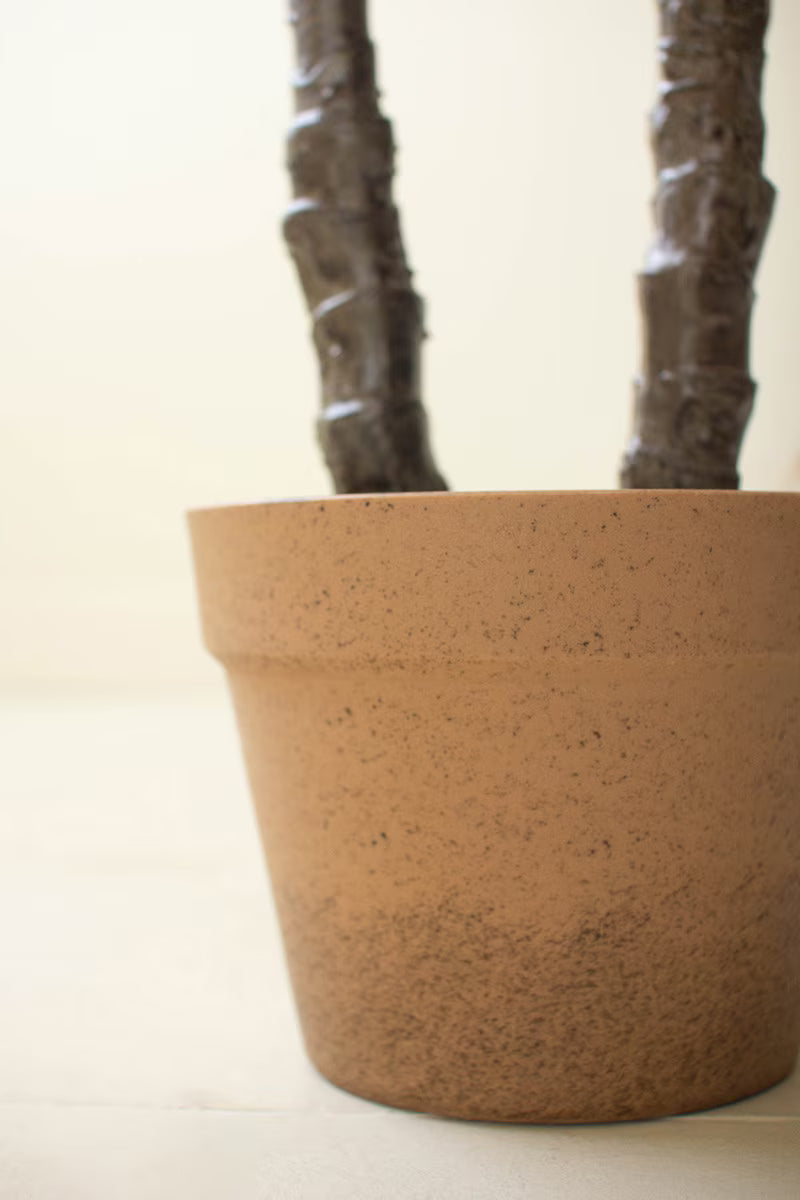 ARTIFICIAL HENEKEN PLANT WITH FAUX TERRACOTTA POT