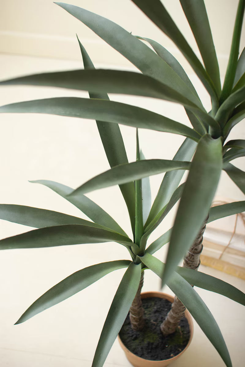 ARTIFICIAL HENEKEN PLANT WITH FAUX TERRACOTTA POT