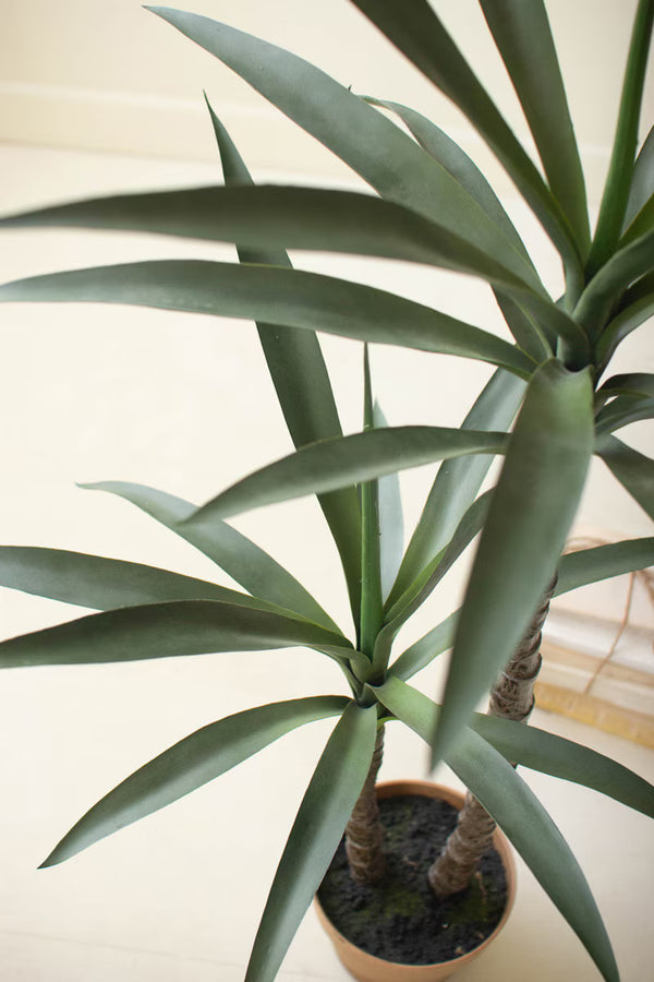 ARTIFICIAL HENEKEN PLANT WITH FAUX TERRACOTTA POT