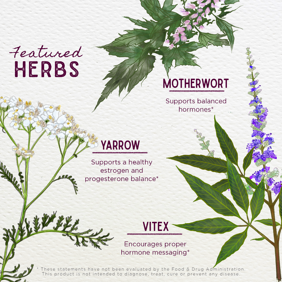 Illustration of herbs with their names and benefits on a white background