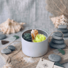 Peach & Yellow Rosette Cactus Candle
