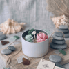 Blush & Teal Rosette Cactus Candle