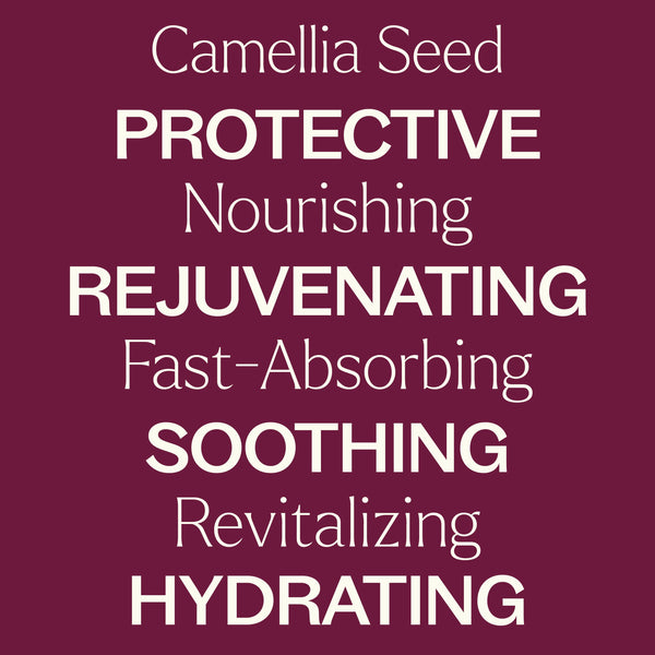 Camellia Seed Carrier Oil