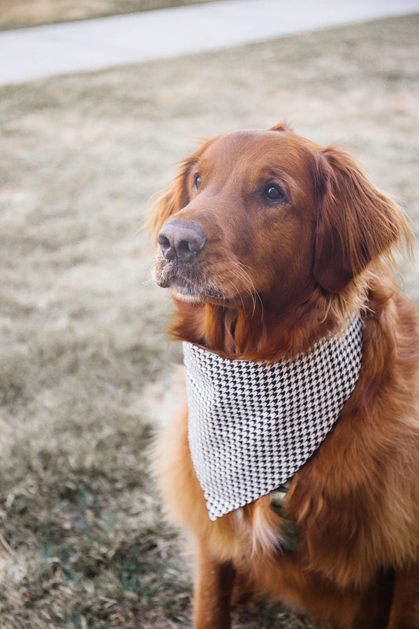 Black Houndstooth Reversible Dog Bandana - Gifts for You 'n Me