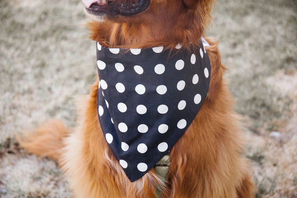 Black Houndstooth Reversible Dog Bandana - Gifts for You 'n Me