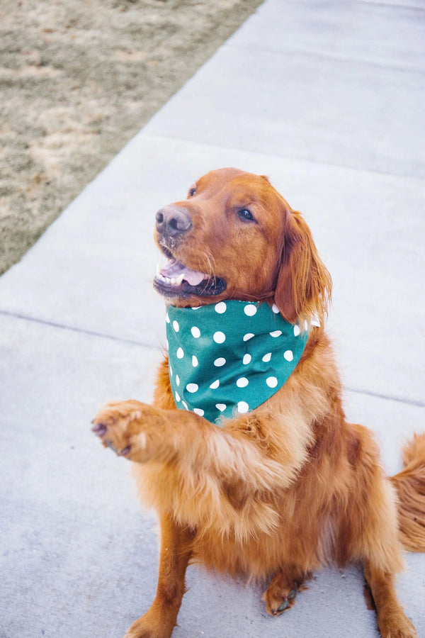 Dark Green Houndstooth Reversible Dog Bandana - Gifts for You 'n Me