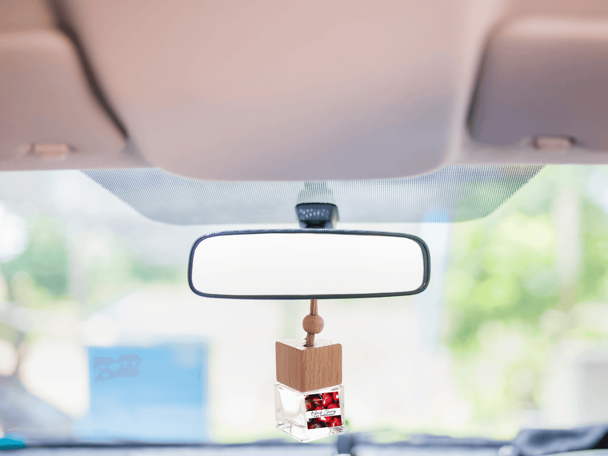 Nature & Earth Hanging Car Freshener – Earthy & Forest Scents