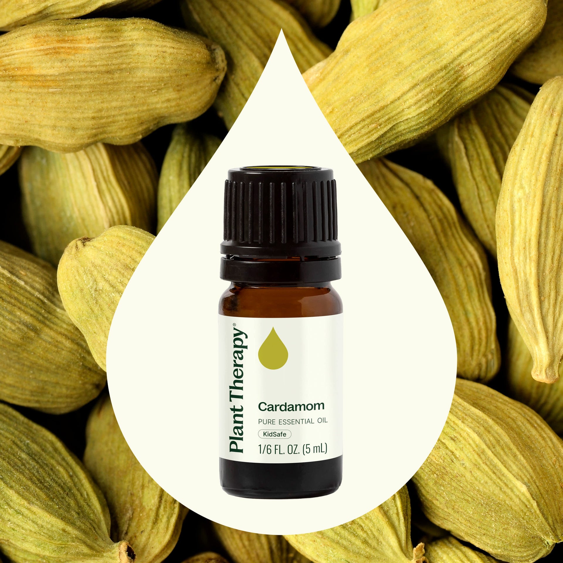 Cardamom Essential Oil