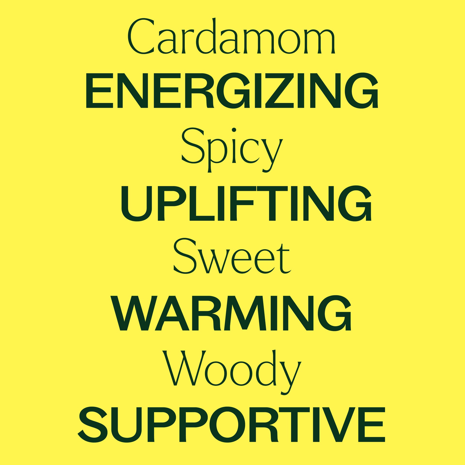 Cardamom Essential Oil