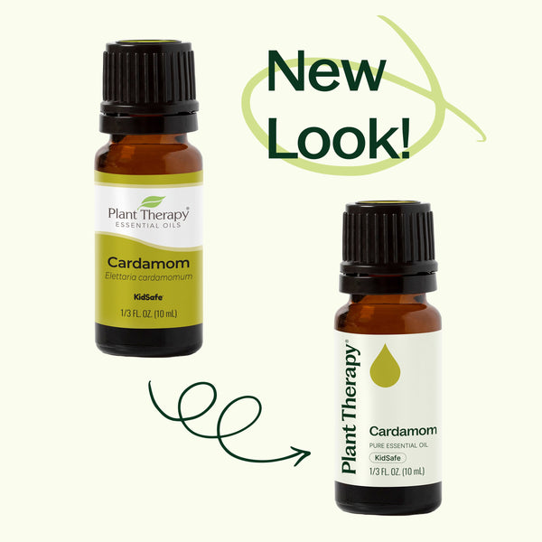 Cardamom Essential Oil