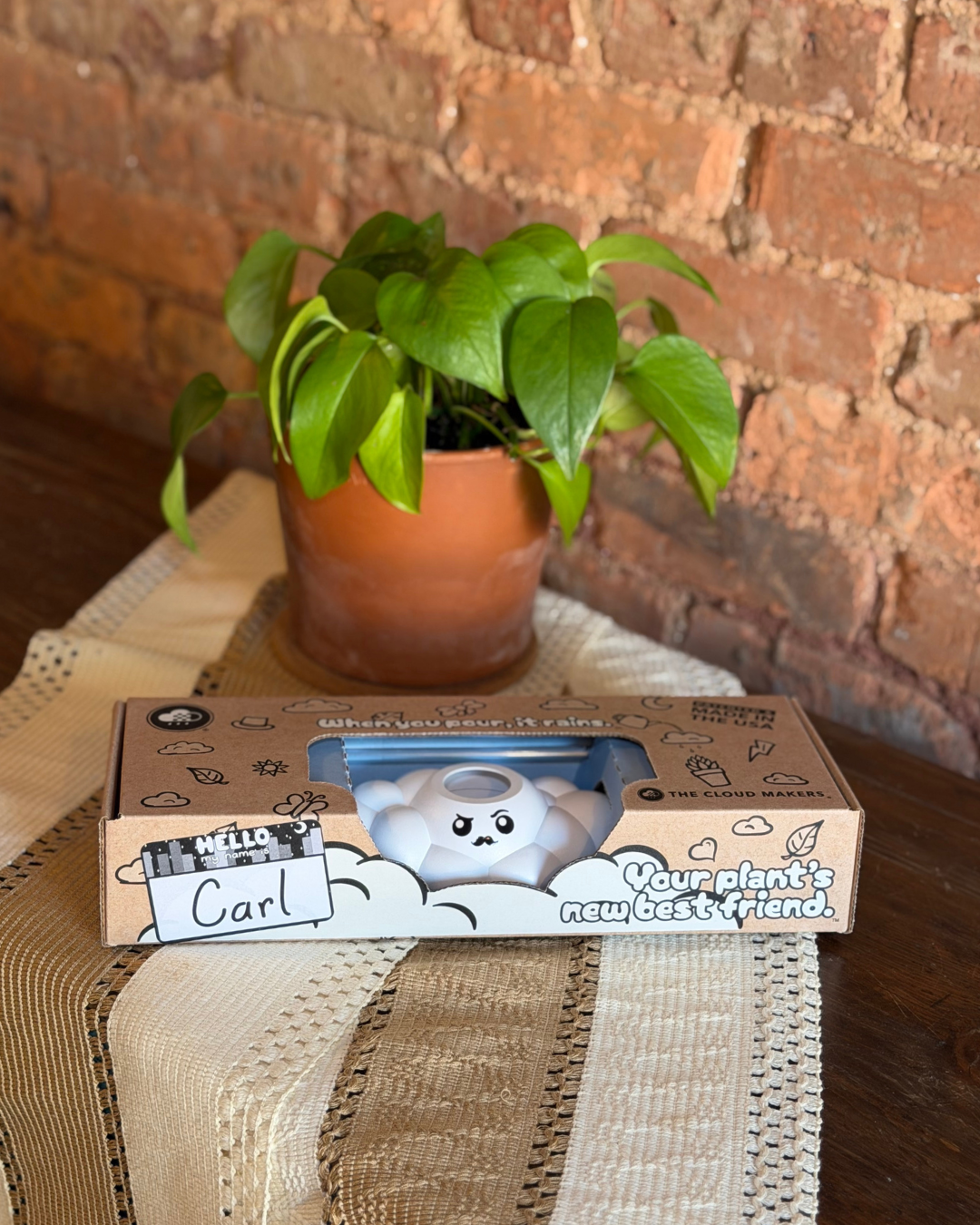 Carl the Cloud