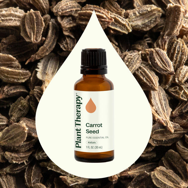 Carrot Seed Essential Oil