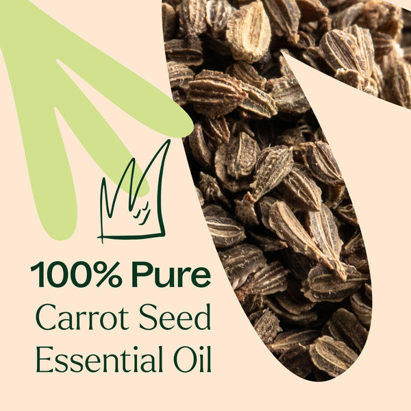Carrot Seed Essential Oil