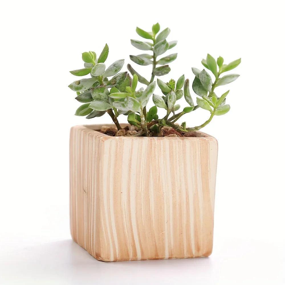 Ceramic Gift Pots for Celebrations with Unique Designs and Colors
