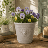 Cast Cement Lion Head Planter - Tall