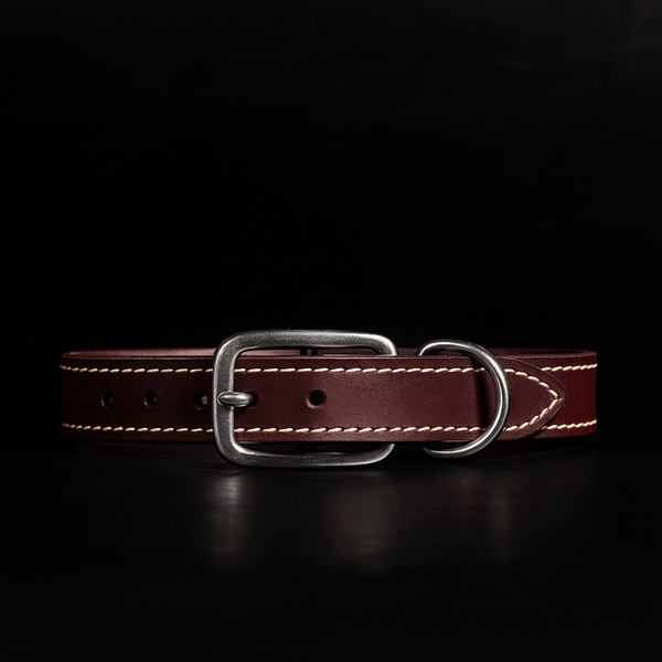 Trailblazer - Black Stitched Premium Leather Dog Collar - Made in Canada