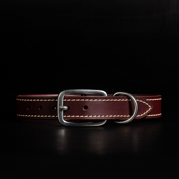 Trailblazer - Brown Stitched Premium Leather Dog Collar - Made in Canada NAB Leather