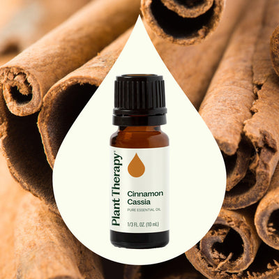 Cinnamon Cassia Essential Oil