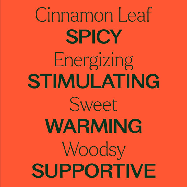 Cinnamon Leaf Essential Oil