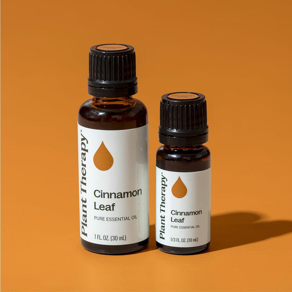 Cinnamon Leaf Essential Oil