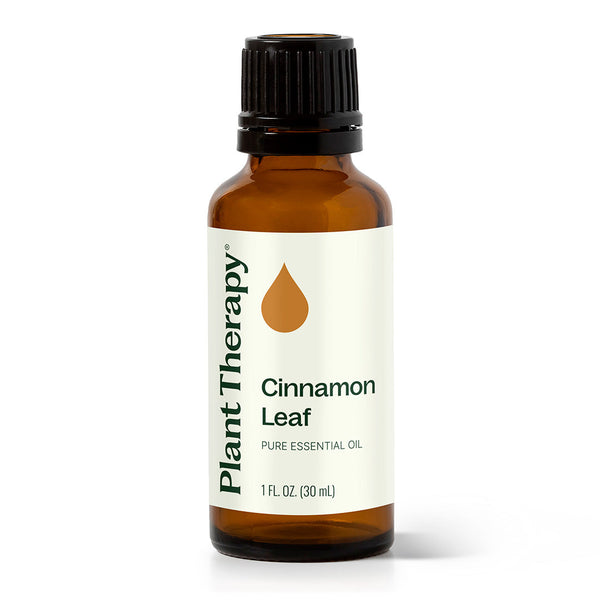 Cinnamon Leaf Essential Oil