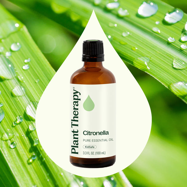Citronella Essential Oil