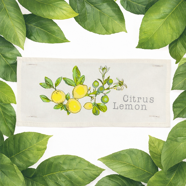 PANEL + RECIPE: RECTANGLE Summer, Lemonade Stand, Sweet, Summertime;  CITRUS LEMON