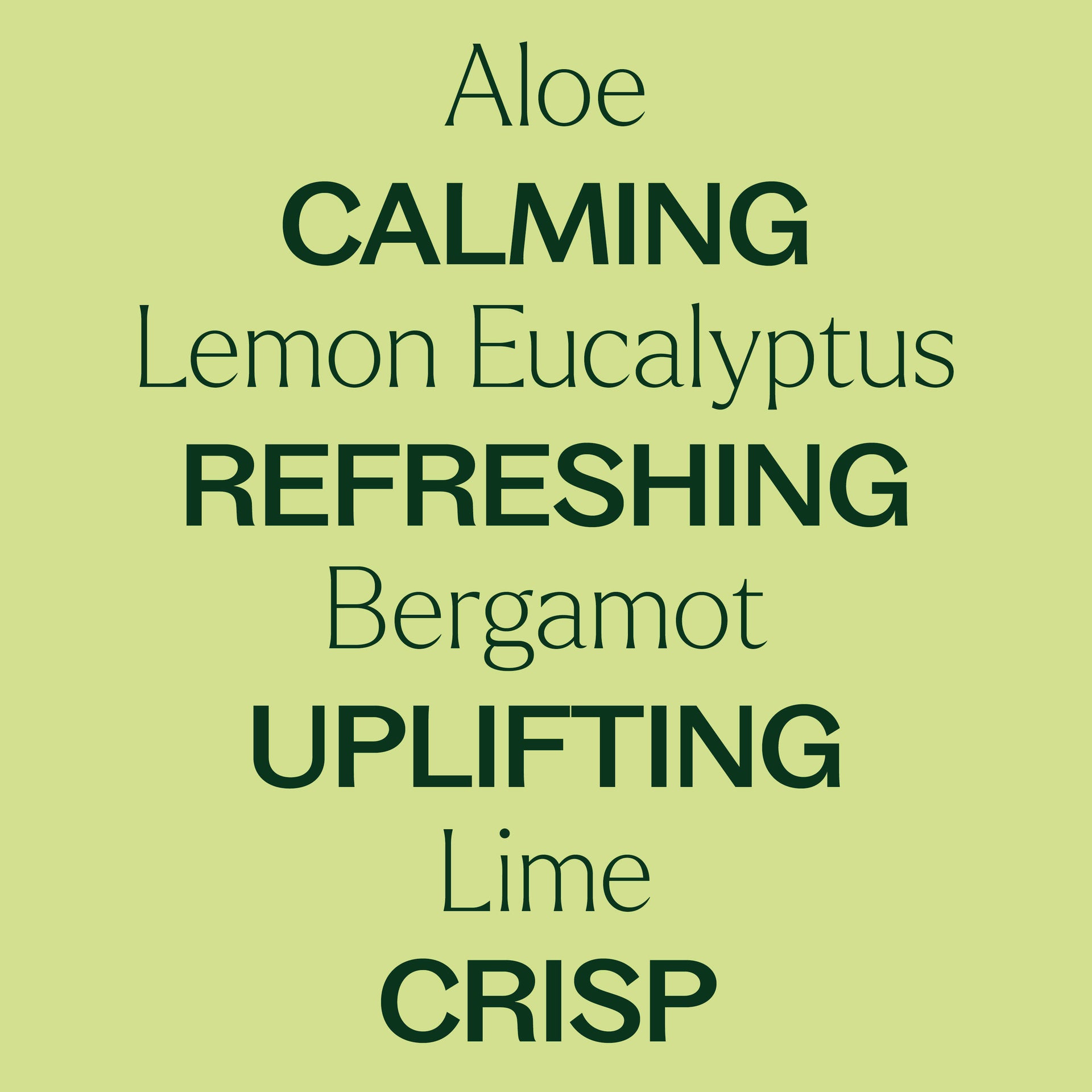 Citrus Refresher Body Wash 16 oz