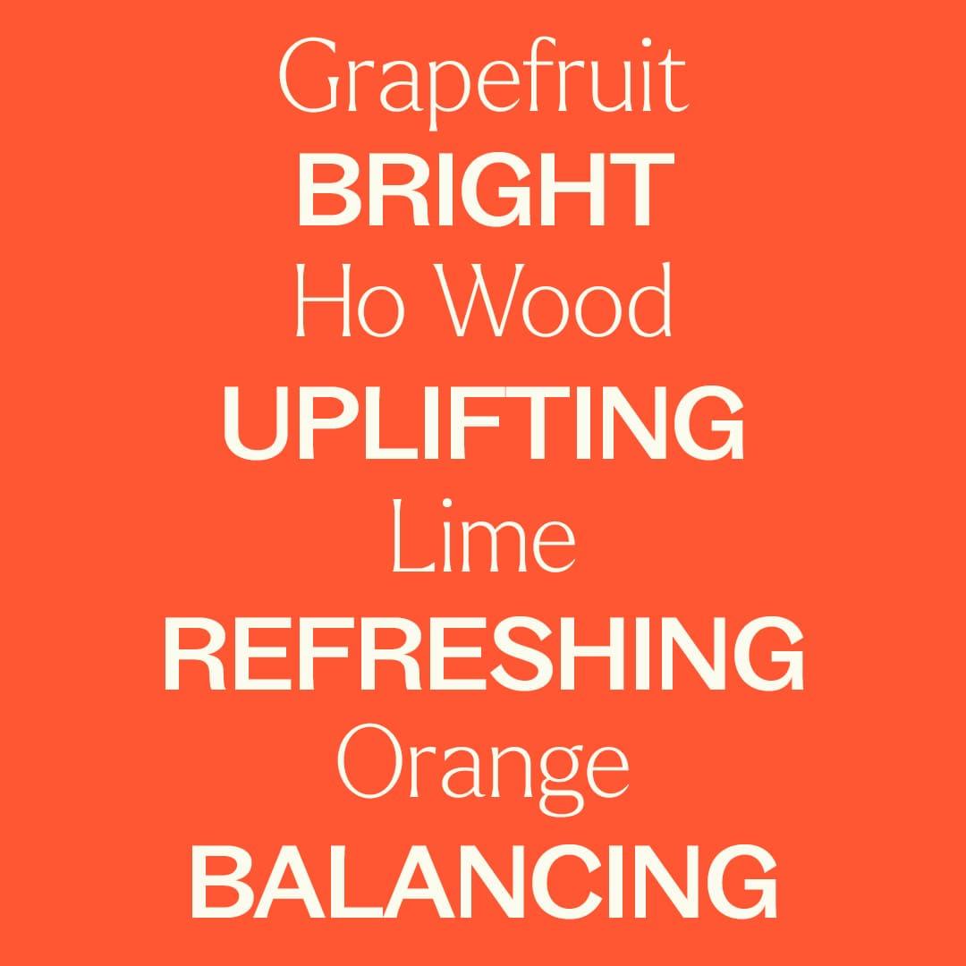 Citrus Rise Essential Oil Blend
