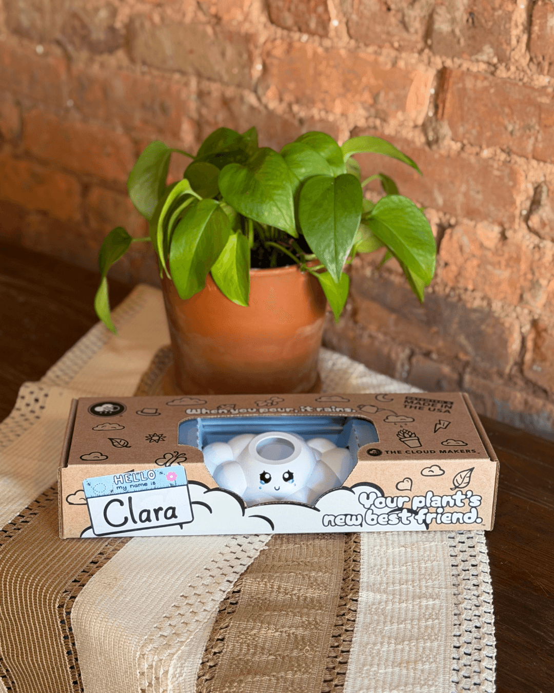 Clara The Cloud