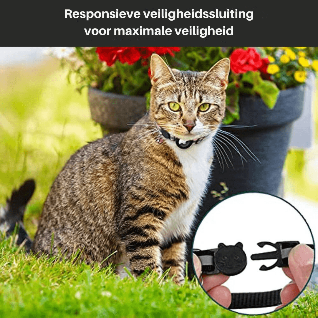 Reflective Cat Collar with GPS Tracker Holder Breakaway Safety Collar