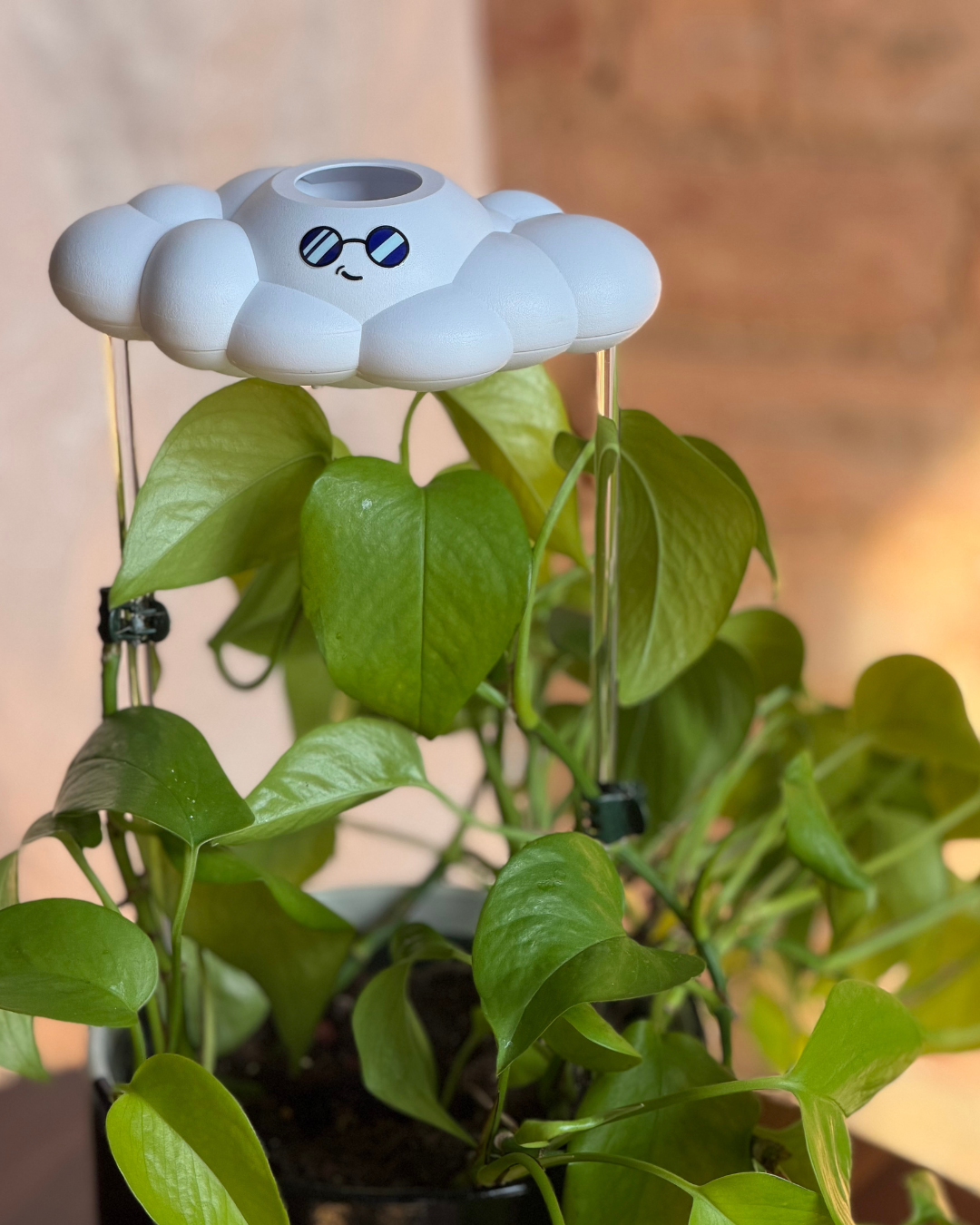 Cooper the Cloud
