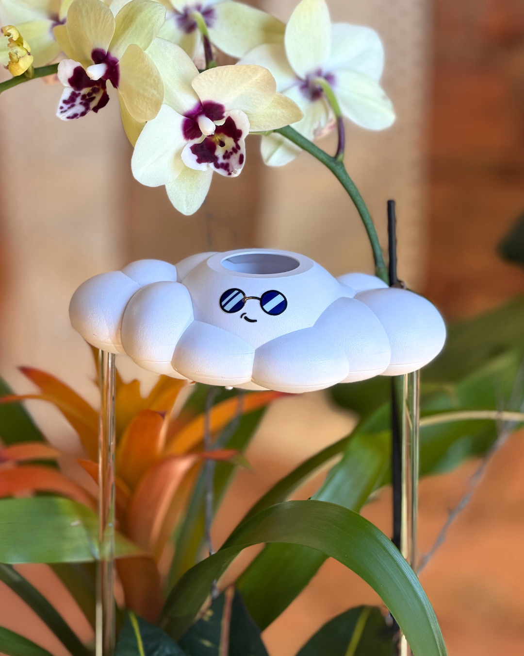 Cooper the Cloud