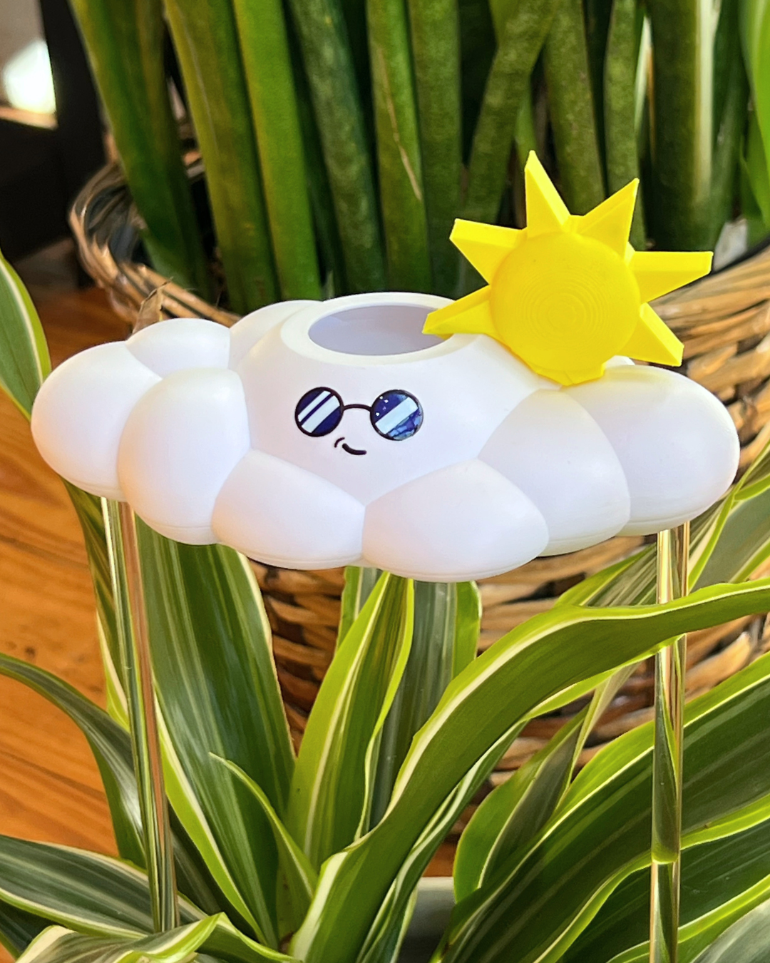 Cooper the Cloud