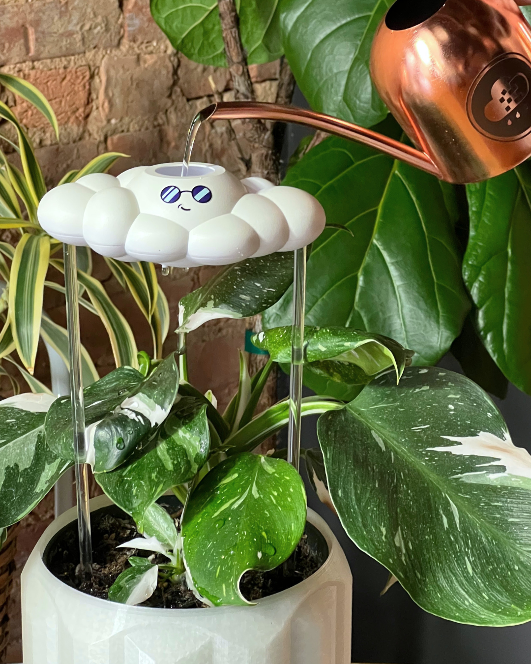 Cooper the Cloud